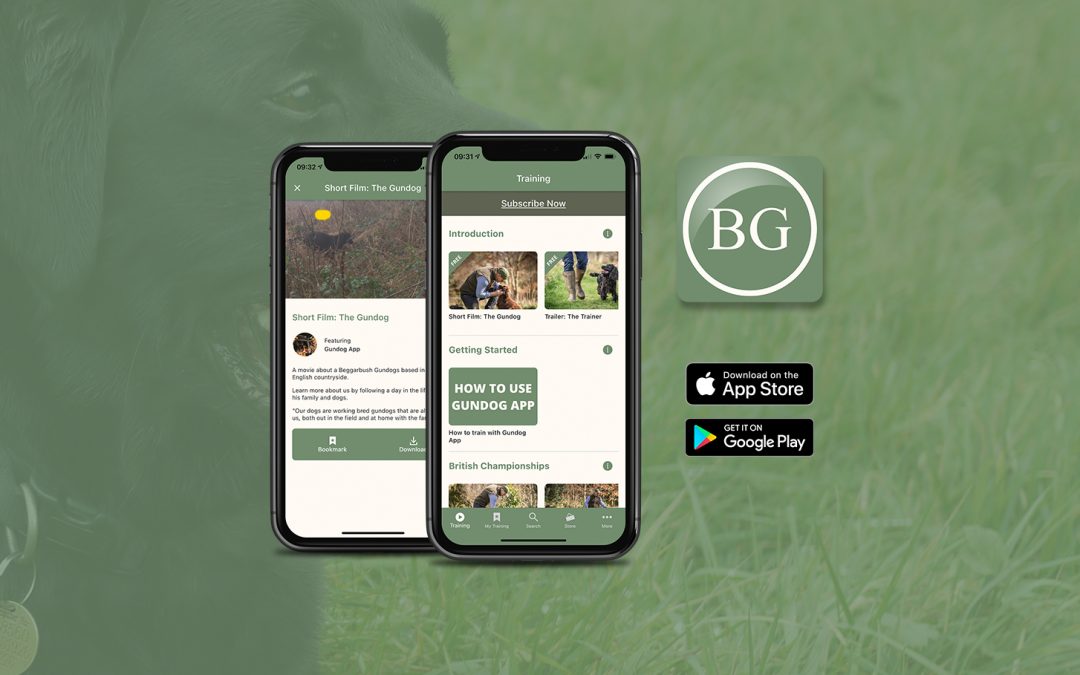 Gun Dog Training App